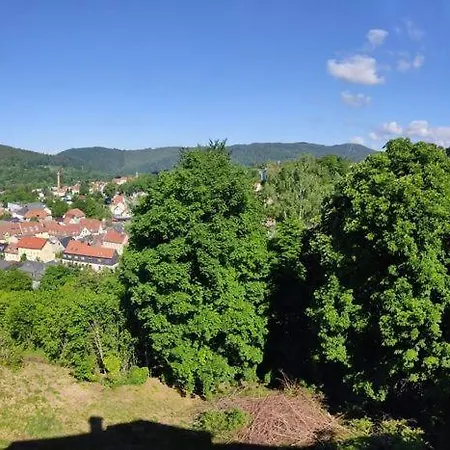 Parkvilla Koehler Проживание в семье Целла-Мелис